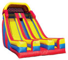 24' Dual Lane Slide Rental