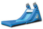 Dolphin Splash Down Water Slide Rental