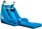 18' Dolphin Super Splash Down Water Slide with Pool Rental