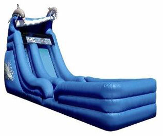 18' Dolphin Super Splash Down Water Slide w/Landing Rental